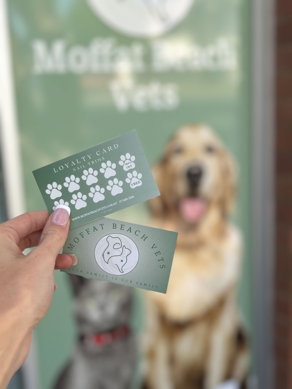 Hand holding loyalty punch card in front of moffat beach vets sign