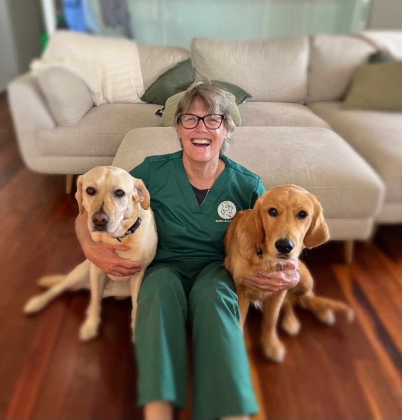 Smiling female vet with glasses and two golden dogs