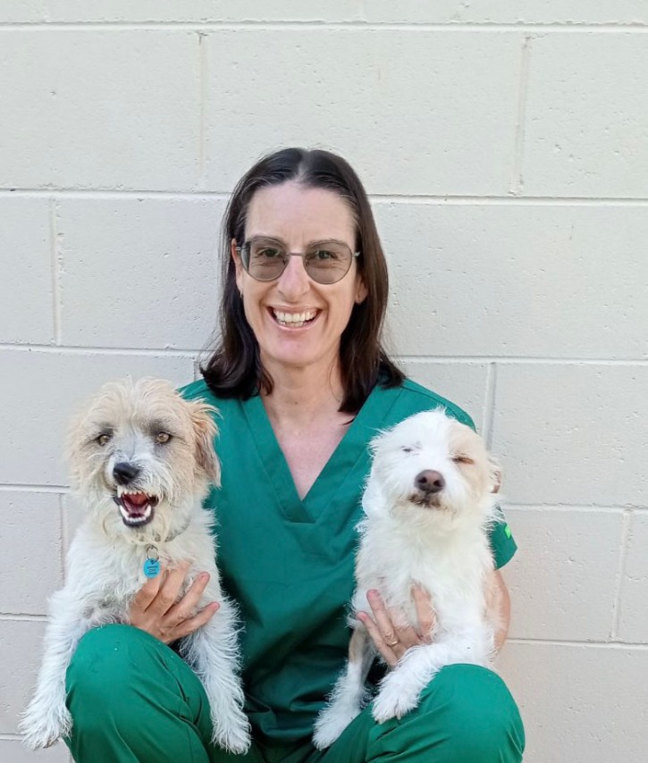 Smiling brunette female veterinarian with two jack russels