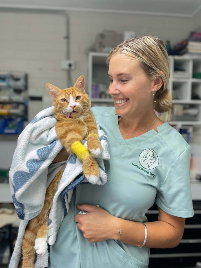 smiling blond female vet nurse with orange tabby cat in arms