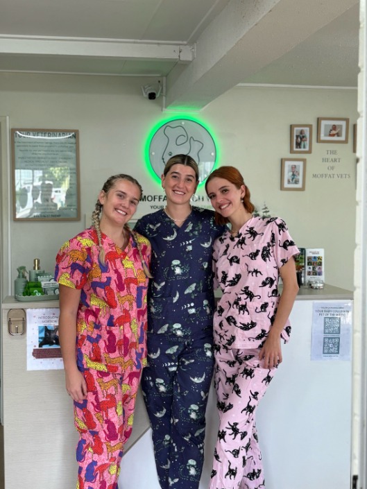 3 female vets posing for photo in colourful scrubs