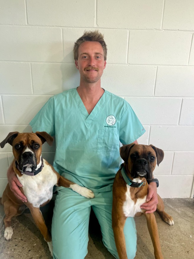 blond male in scrubs with two boxer dogs