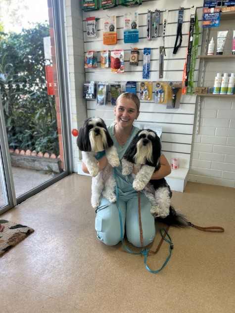 smiling vet nurse holding two shaggy dogs in clinic