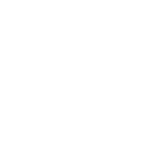 thermometer icon