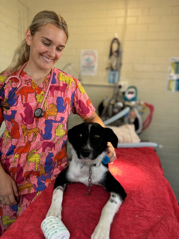 Blond haired vet smiling at dog on clinic table