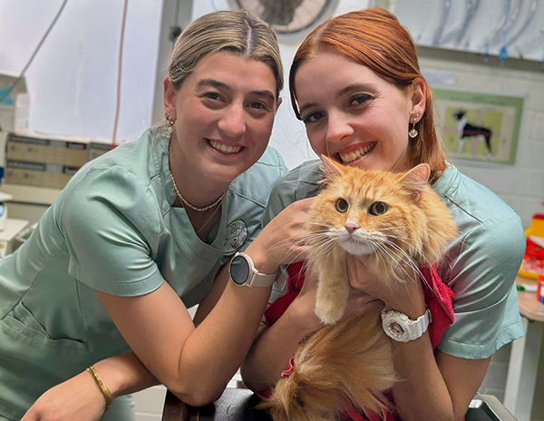 two smiling female veterinarians holding orange tabby cat