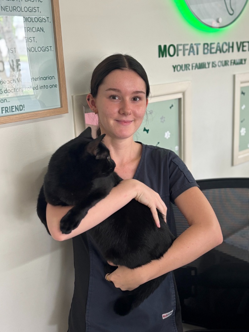 Young smiling female vet nurse holding black cat
